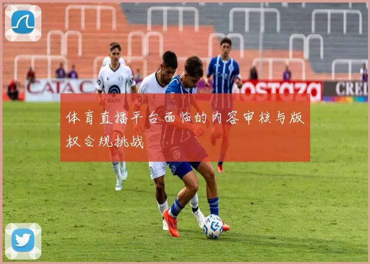 体育直播平台面临的内容审核与版权合规挑战