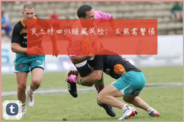 莫兰特回归暗藏风险：灰熊需警惕