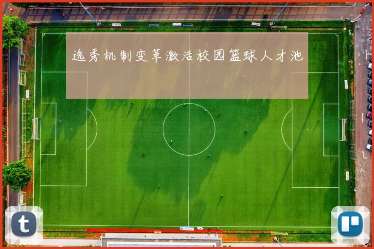 选秀机制变革激活校园篮球人才池