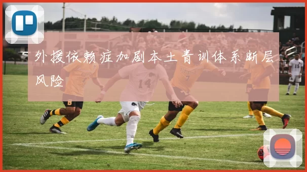 外援依赖症加剧本土青训体系断层风险