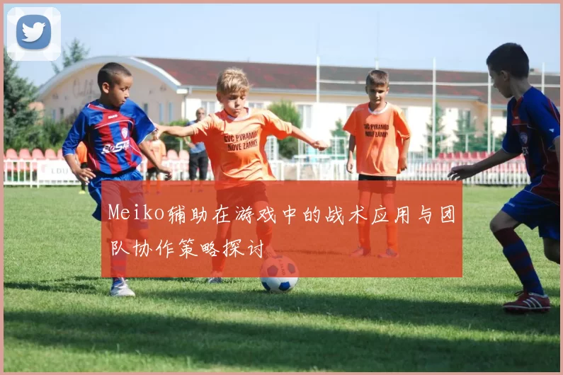 Meiko辅助在游戏中的战术应用与团队协作策略探讨